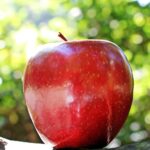 apple, red, fruit, red chief, red apple, fresh apple, ripe, ripe apple, fresh, fresh fruit, harvest, produce, organic, healthy, food, close up, apple, apple, apple, apple, apple
