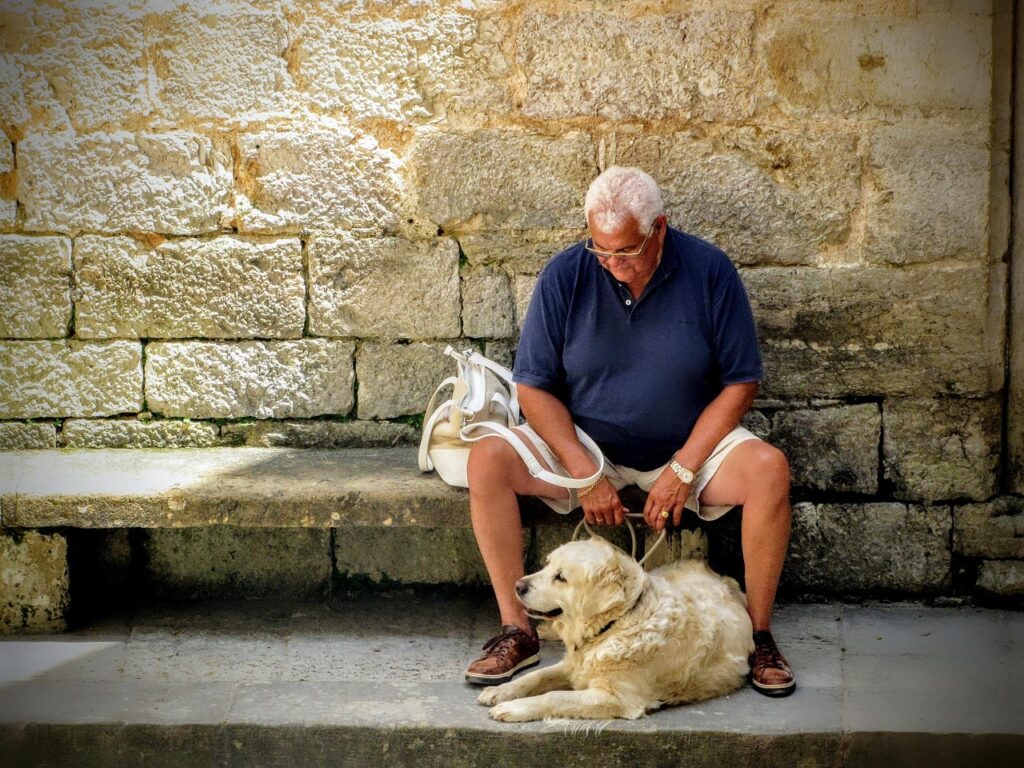man, dog, company, grandfather, grandpa, old man, older, senior, retired, pensionary, retirees, old age, pet, animal love, labrador, companion, animal, together, trust, friendship, a friend, wait