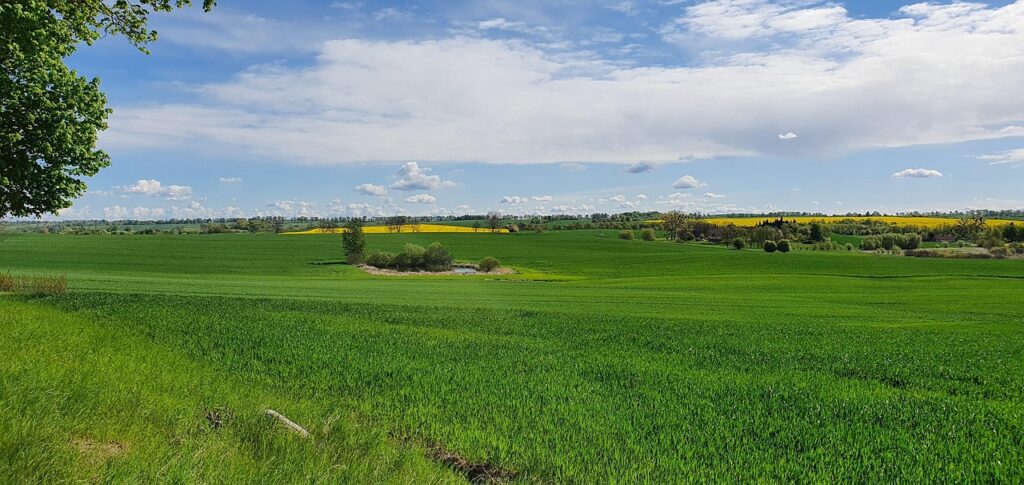 wilage, landscape, green, grass, summer, village, nature, poland, scenery, field, tourism, olsztyn, warmia, natural, sky, wilage, wilage, wilage, wilage, wilage, warmia