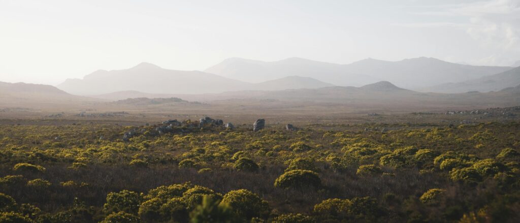 Serene view of the Cape of Good Hope with distant mountains and shrubbery.