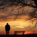 sunset, tree, silhouette, dusk, lonely, evening atmosphere, mood, the atmosphere, peaceful, alone, sad, quiet, eve, silence, peaceful mood, man, old man, bank, races, nature, rest