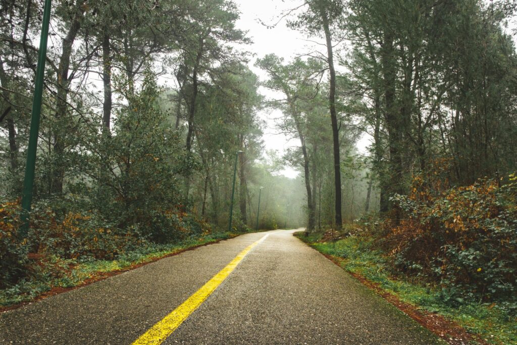 A serene foggy road through lush forests in Montenegro, perfect for nature lovers.