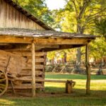 A rustic wooden barn with an old wooden wagon in a sunny outdoor farm setting.