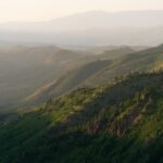 A serene landscape of the Wasatch Mountains with lush greenery and distant peaks in Utah.