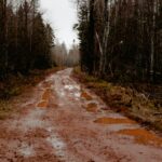 A serene muddy pathway through a dense forest with puddles reflecting the overcast sky.