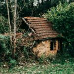 An old, dilapidated house surrounded by dense forest vegetation.