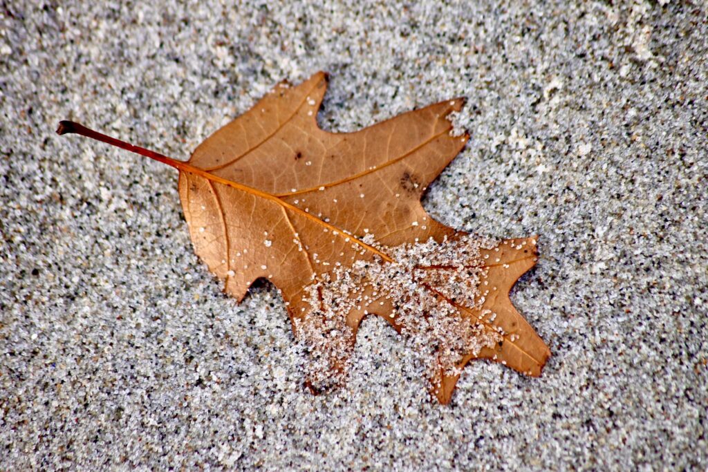 Brown maple leaf covered in sand grains on a textured surface, capturing autumn's essence.