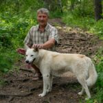 A man with a white dog on a forest path, surrounded by greenery in summer.