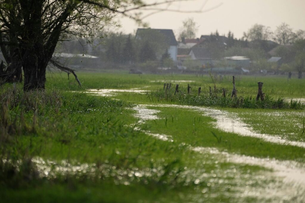 Tranquil image of a spring meadow flooded with rain, trees and distant village in view.