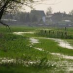 Tranquil image of a spring meadow flooded with rain, trees and distant village in view.