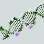 A creative representation of a DNA helix with blooming pastel roses, blending nature and science.