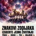 IZABERITE JEDNU ŽIVOTINJU: Prase🐖, Krava🐄, Pas🐕 ili Majmun🐒 – Pogledajte surovu istinu i skriveno značenje vašeg izbora za Ovna, Bika i Blizance