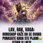 HOROSKOP KAŽE DA SE OVAKO PONAŠATE KADA STE PIJANI: Istina ili ne?! Surova psihoanaliza vaše podsvesti kada maske padnu! (Lav, Rak, Vaga)