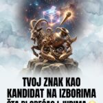 TVOJ ZNAK KAO KANDIDAT NA IZBORIMA: Šta bi obećao ljudima? Surova karmička obdukcija vaše političke manipulacije za Jarca, Vodoliju i Ribe!